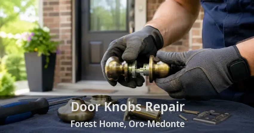 Door Knobs Repair Forest Home, Oro-Medonte - ON