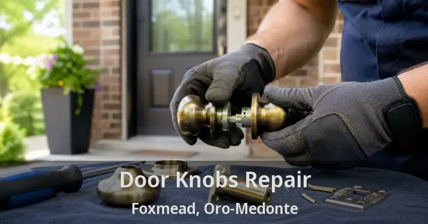 Door Knobs Repair Foxmead, Oro-Medonte - ON