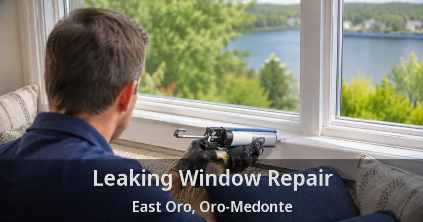 Leaking Window Repair East Oro, Oro-Medonte - ON