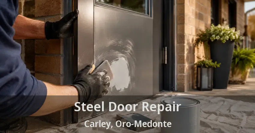 Steel Door Repair Carley, Oro-Medonte - ON